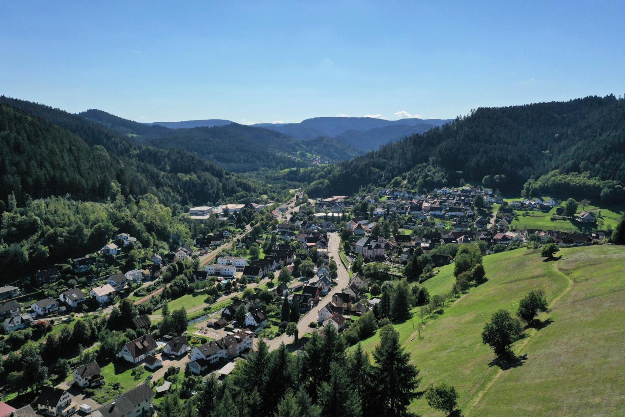 Schwarzwald Blockhaus - Sauna - Kamin - Mit Bettwaesche Und Handtuecher Schenkenzell Buitenkant foto
